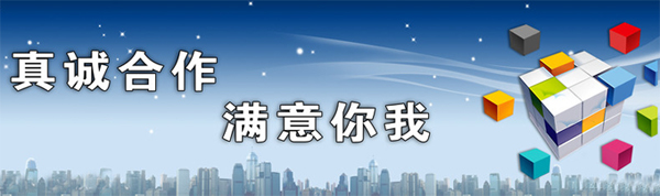 企業(yè)網(wǎng)站想做優(yōu)化,SEO怎么收費,企業(yè)網(wǎng)站做排名